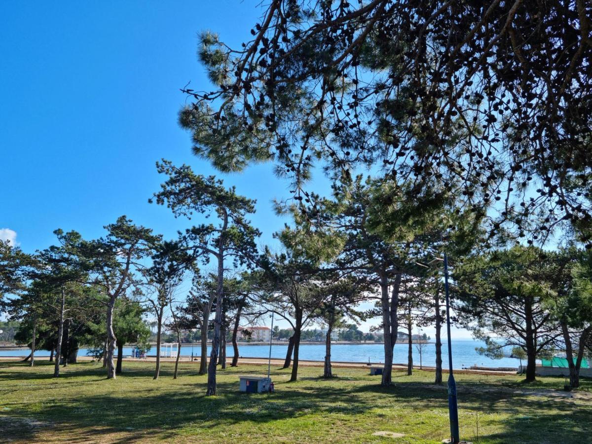 K9 Mobile Home Camp Dalmacija Privlaka Privlaka  Εξωτερικό φωτογραφία