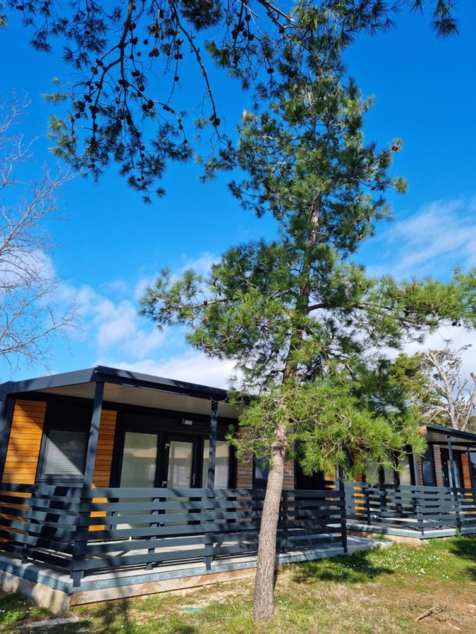 K9 Mobile Home Camp Dalmacija Privlaka Privlaka  Εξωτερικό φωτογραφία